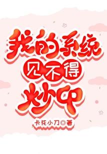 康辉旅游办签证