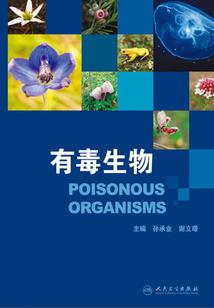 三月深圳哪里好玩