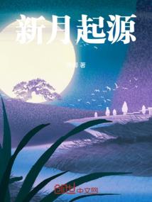 融创国际旅游住宅区项目