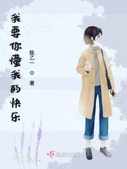 昆明勐腊旅游攻略路线