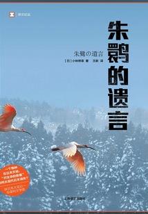 油车港旅游路线