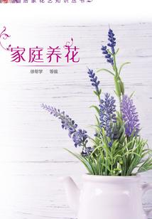 中国旅游日山东曲阜