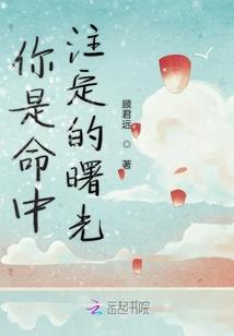日本旅游换多少
