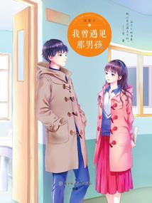 金牌旅游村项目包装