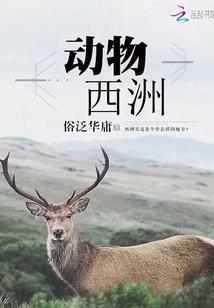 重庆青山旅游区