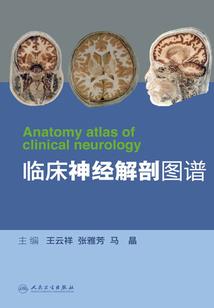 自驾游活动