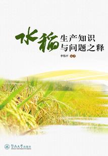 洛阳旅游穷游住宿推荐