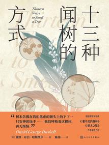 新疆旅游地图里程表图