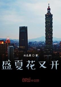 加拿大旅游签证材料纽约