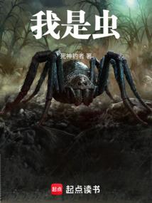 赤峰的旅游区航拍