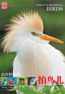 珠海端午三天旅游推荐