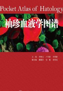 春雁文化旅游公司