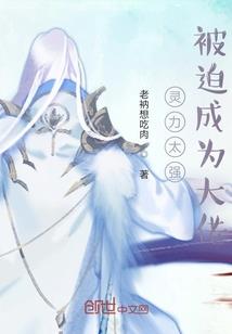 白本美国十年旅游签证