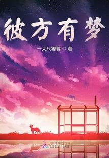 广东海岛住宿攻略旅游