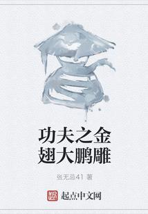 冰岛气候适合旅游吗