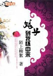 旅游公司融资说明
