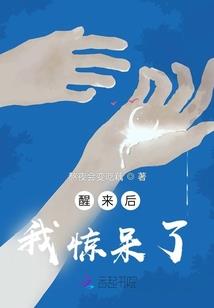 旅游法颁布时间为