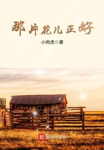 去青海旅游自驾游攻略