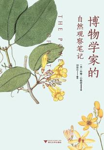 九山顶门票价格