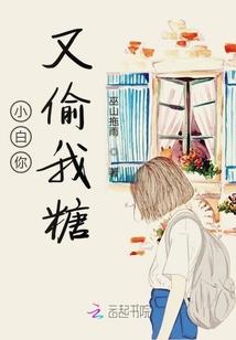 旅游攻略详细车票