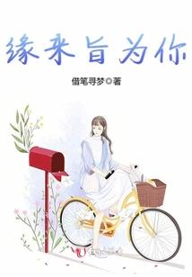 东昌路旅游巴士路线
