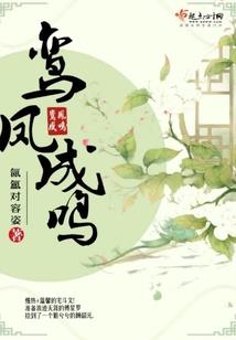 风情岛洱海旅游路线