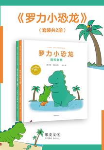 自己diy申请美国旅游签证