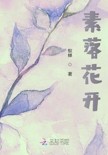 河口旅游攻略地图