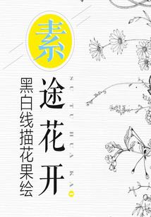 海南的旅游景点的介绍