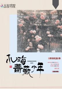 登封四个旅游小镇项目