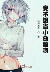 旅游区的彩石