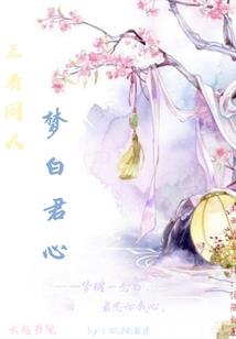 斐济旅游团价格