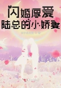 中山旅游团直播平台