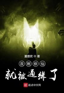 北京机场快轨门票