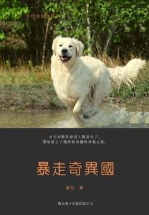 原平旅游团云南