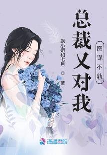 限高可以办旅游签证吗