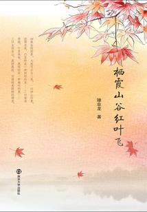 飞机多少超重旅游