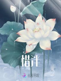 北海到越南旅游团价格