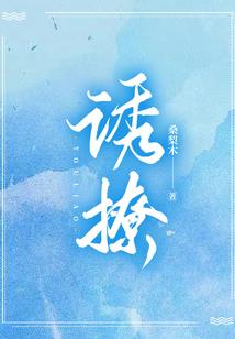 云南景区旅游纪念品价格