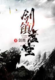 中国桥枫航空旅游项目