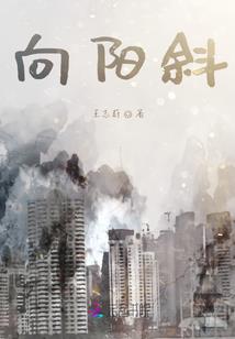 中学教育澳洲旅游学校