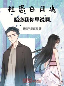 法国签证伦敦旅游多少钱