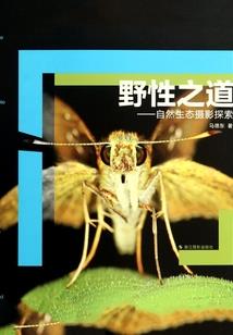 恒山旅游需要多长时间