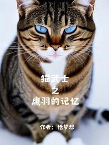 云南大理海拔旅游地图