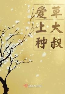 出门旅游车上必备好物