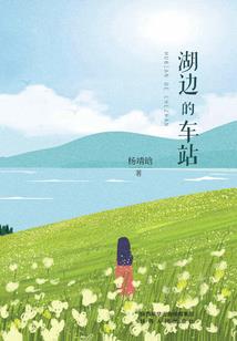 旅游区的风水大师