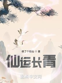 成都到丁青县旅游地图