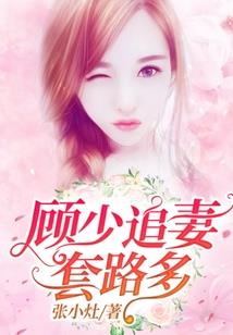 西安旅西安旅游公司