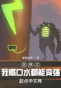 2017瑞士旅游签证