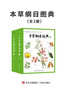 岒南印象园门票